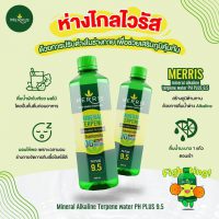 MERRIS น้ำดื่มอัลคาไลน์ เปิดรับตัวแทนจำหน่ายขายน้ำดื่ม iberme (1) MERRIS น้ำดื่มอัลคาไลน์ เปิดรับตัวแทนจำหน่ายขายน้ำดื่ม iberme (1)